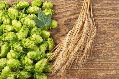 Arpa ile koni Woden masanın üzerinde hop