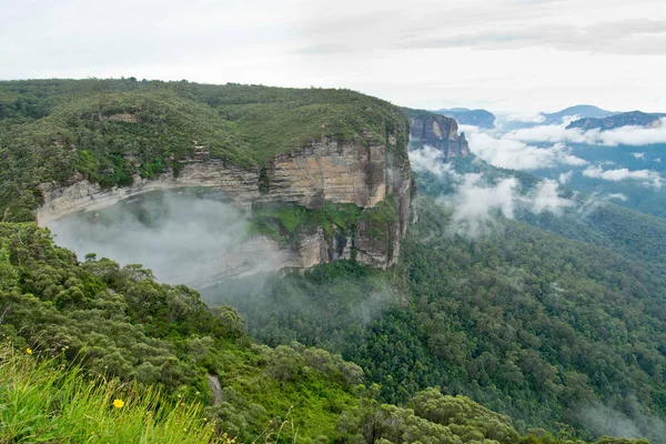 Govetts sıçrama uyanık. Avustralya Blue Mountains.