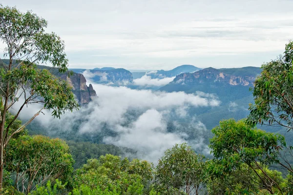 Cliff Top Track View Blue Mountains Australia — Stock Photo, Image