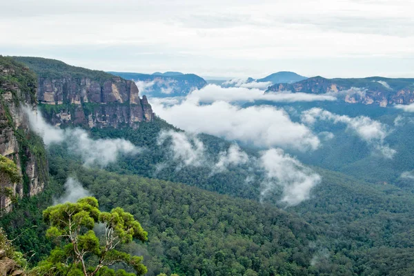 View Grose Valley Blue Mountains Australia — Stock Photo, Image