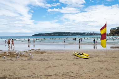 SYDNEY, AUSTRALIA - JANUARY 13, 2018: Freshwater Beach in Sydney. People enjoying a summer day on Freshwater Beach, a beautiful family patrolled sandy beach in Sydney clipart