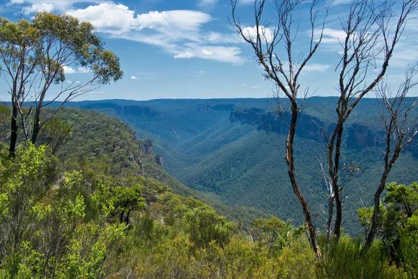 Anvil Rock Lookout Dans Les Blue Mountains Australie — Photo