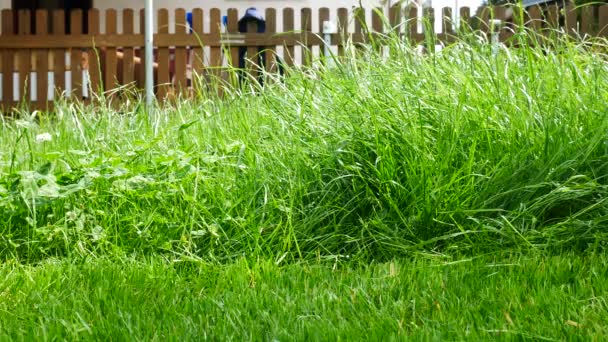 男はカッティング庭の芝生です ないカメラの動き — ストック動画