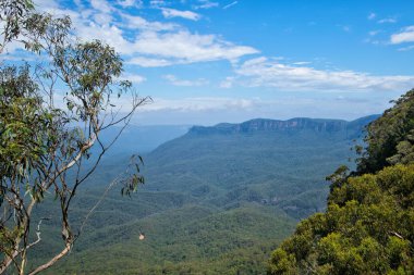Avustralya Blue Mountains Jamison vadide