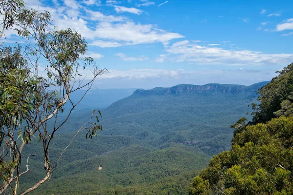 Avustralya Blue Mountains Jamison vadide