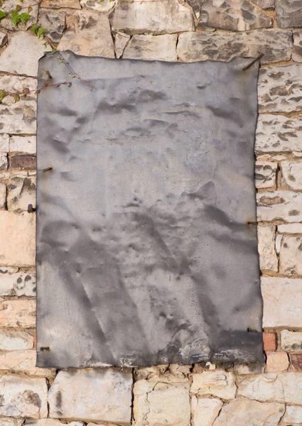 Hintergrund Ein Blatt Auf Der Steinmauer Frühling — Stockfoto