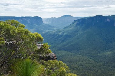 Pulpit Rock Lookout in Blue Mountains in Australia clipart