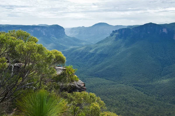 Pulpit Rock Lookout Blue Mountains Australia — Stock Photo, Image
