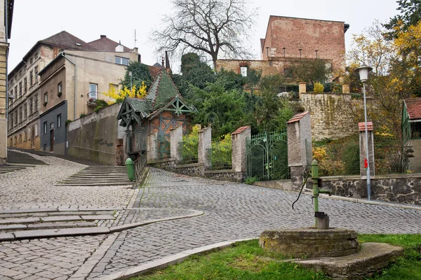 Hala Sokakta Zatec Kasaba Çek Cumhuriyeti — Stok fotoğraf