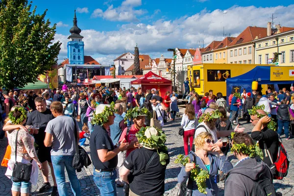 Zatec Town República Checa Septiembre 2015 Personas Con Coronas Lúpulo —  Fotos de Stock