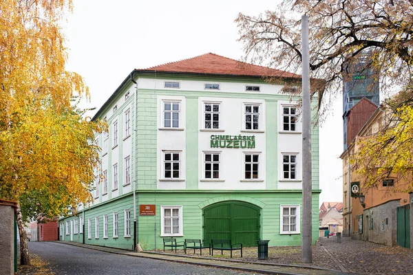 Zatec Town Repubblica Ceca Novembre 2016 Museo Del Luppolo Nella — Foto Stock