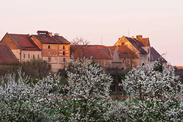 Vecchio Luppolo Essiccazione Casa Nella Zona Zatec Luppolo Repubblica Ceca — Foto Stock