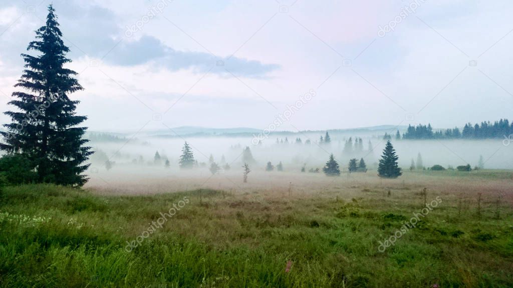 Morning landscape in Bohemian Forest. Czech Republic.