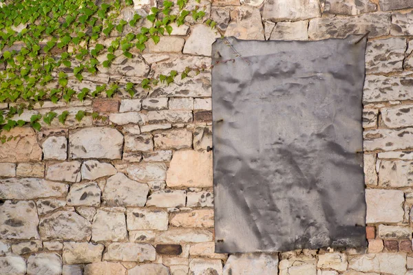 Фон Айви Каменной Стене Весной — стоковое фото