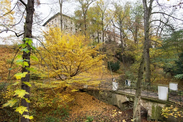Общественный Парк Затецком Парке Осенью Чехия — стоковое фото