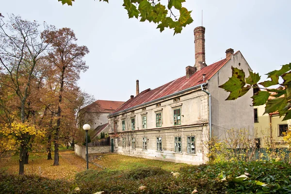 Negozio Luppolo Nella Città Zatec Repubblica Ceca — Foto Stock