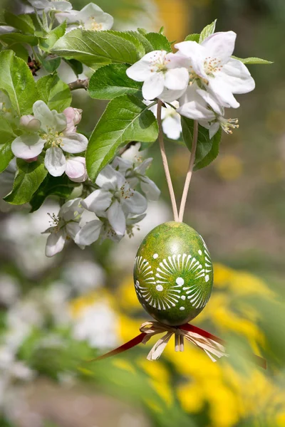 Easter Egss Hanging Twig Apple Tree Garden — Stock Photo, Image