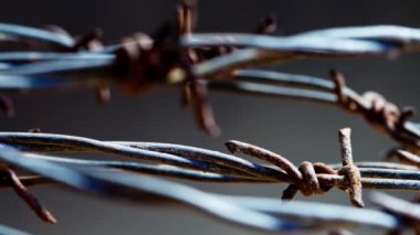 Dikenli tel koyu arka plan üzerinde ayrıntı. Pan.