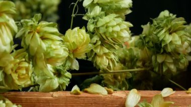 Kuru Hop koniler detayını. Slider ile vurdu. Tilt.