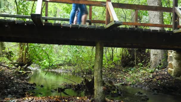 Touristen Auf Dem Weg Durch Die Holzbrücke Oparno Tschechische Republik — Stockvideo