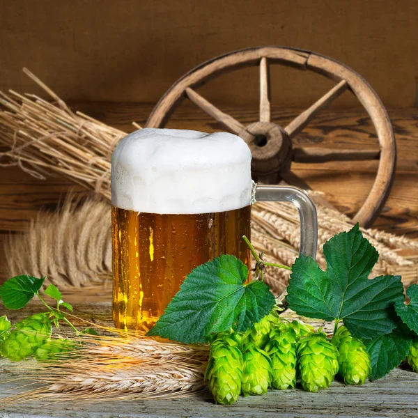 Beer Glass Raw Material Beer Production — Stock Photo, Image