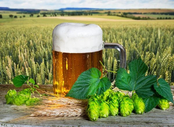 啤酒杯和啤酒生产原料 — 图库照片