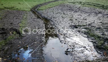 Petrol ve çamur ile kontamine boş gölet. Yakınlaştır.