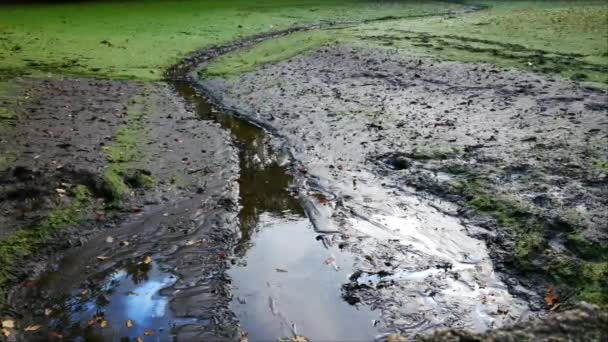 Contaminated Empty Pond Oil Mud Zoom — Stock Video