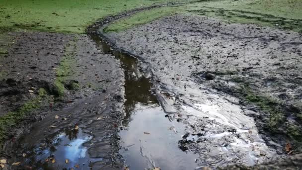 Kolam Kosong Terkontaminasi Dengan Minyak Dan Lumpur Perbesar — Stok Video