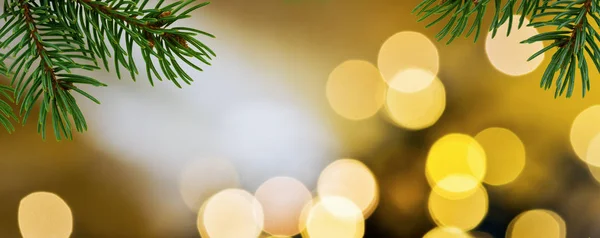 Panoramik Noel Arka Plan Christmas Dal Detayını Ile — Stok fotoğraf