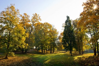 Sonbahar manzara. Krasny Dvur parkta. Çek Cumhuriyeti.