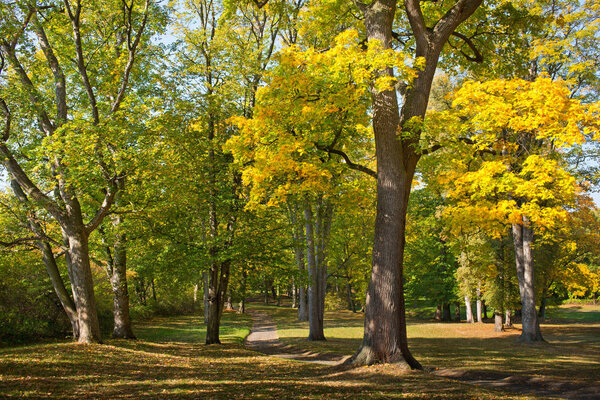 Autumn landscape. Park in Krasny Dvur. Czech Republic.