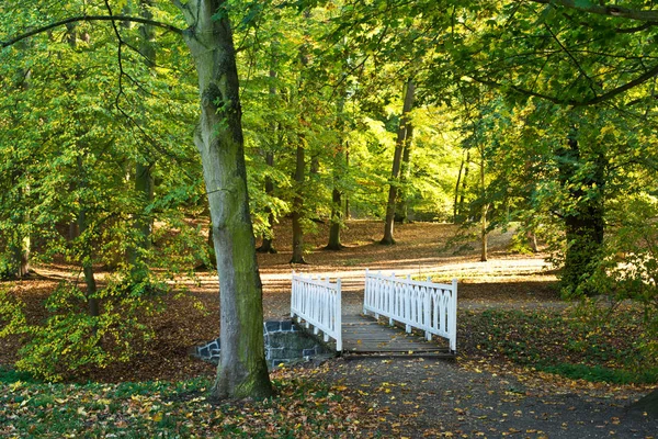 秋の公園で白い小さな橋 — ストック写真