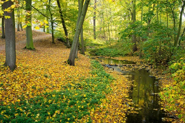 Kis Folyó Parkban Őszi Hangulat — Stock Fotó