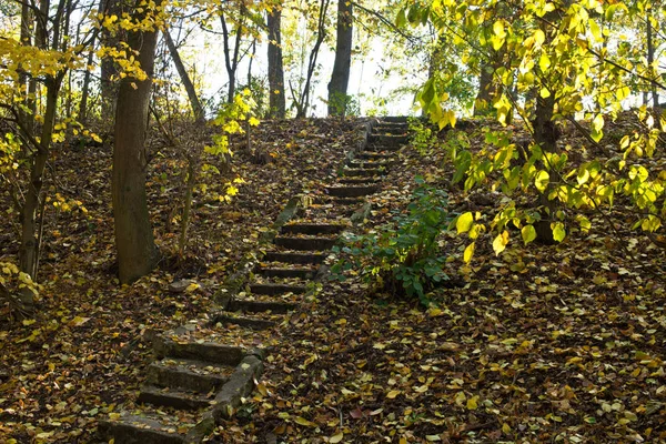 Old stone stairs in the forest in the autumn.