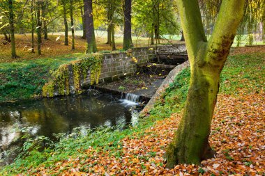 Nehir yatak weir sonbahar sezonu ile
