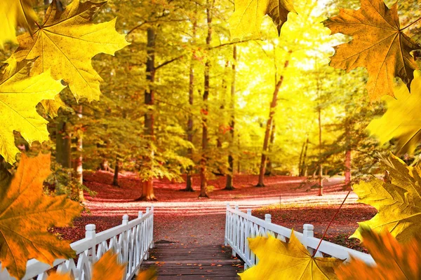 Autumn background. White small bridge in the park.