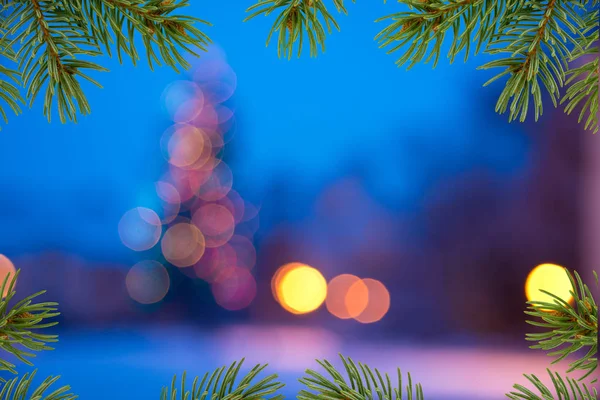 Χριστούγεννα Φόντο Μπλε Φόντο Βελόνες Του Χριστουγεννιάτικου Δέντρου — Φωτογραφία Αρχείου
