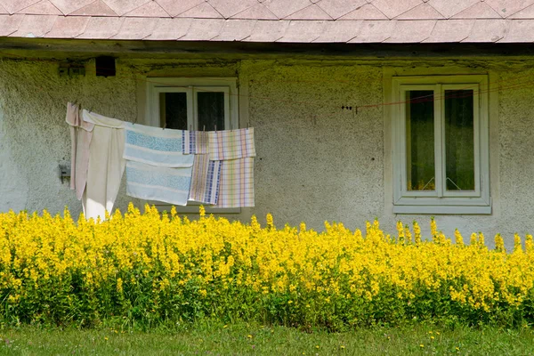 Стиральная Линия Перед Старым Домом Чешский Лес Чехия — стоковое фото