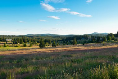 Bohemian Forest Panoraması bahar içinde. Çek Cumhuriyeti.