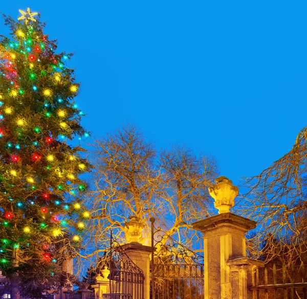 Christma Tree Old Gateway Christmas Time — Stock Photo, Image