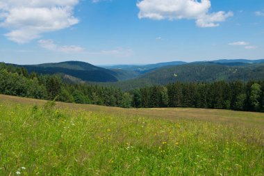 Bohemian Forest Panoraması bahar içinde.
