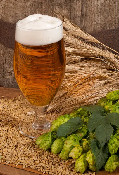 Still Life Beer Glass Hops Barley — Stock Photo, Image