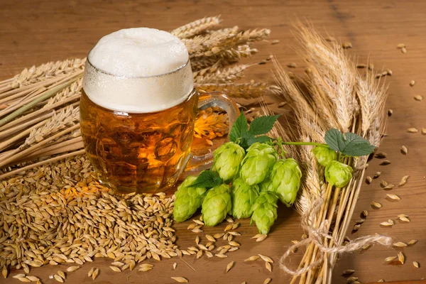 Bierglas Und Rohstoff Für Die Bierproduktion — Stockfoto