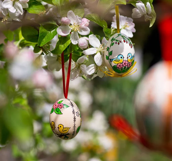 Wielkanoc Egss Wiszące Gałązka Jabłoni Ogrodzie — Zdjęcie stockowe