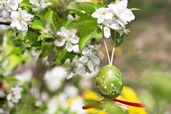 Egss Pascua Colgando Ramita Manzano Jardín — Foto de Stock