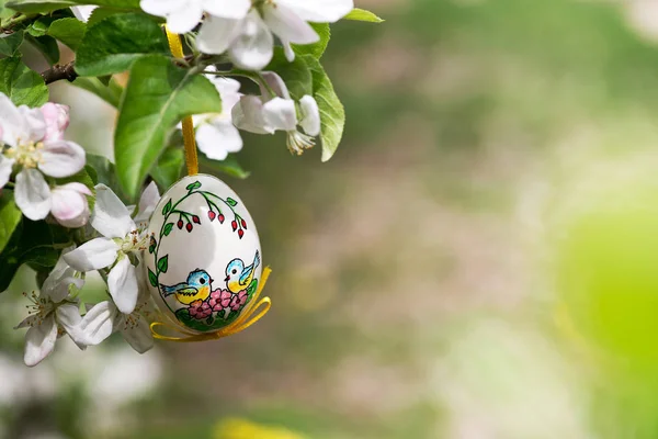 Wielkanoc Egss Wiszące Gałązka Jabłoni Ogrodzie — Zdjęcie stockowe