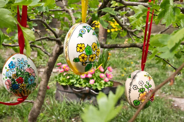 Velikonoce Egss Visí Větvičku Zahradě — Stock fotografie