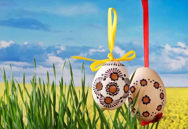 Velikonoční Vajíčka Louce Jarní — Stock fotografie