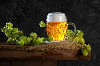 bira cam ve bira üretimi için ham maddeler